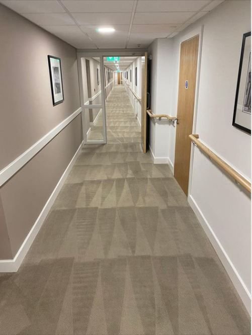 Freshly cleaned hallway carpet with visible vacuum lines