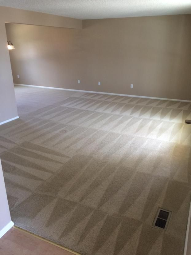 Freshly cleaned living room carpet